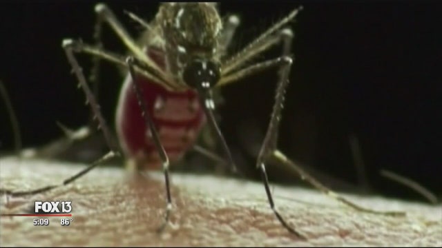 Florida officials investigate first potential non-travel-related Zika case