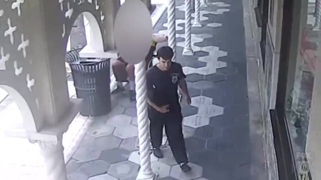 Footage shows suspect grab wallet from wheelchair-bound victim