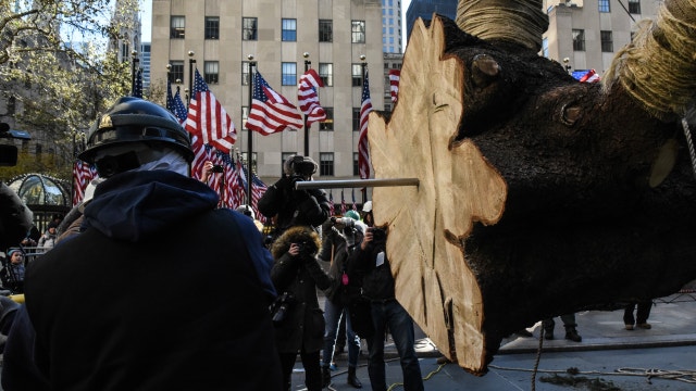 Rockefeller Center Christmas tree arrives into New York City