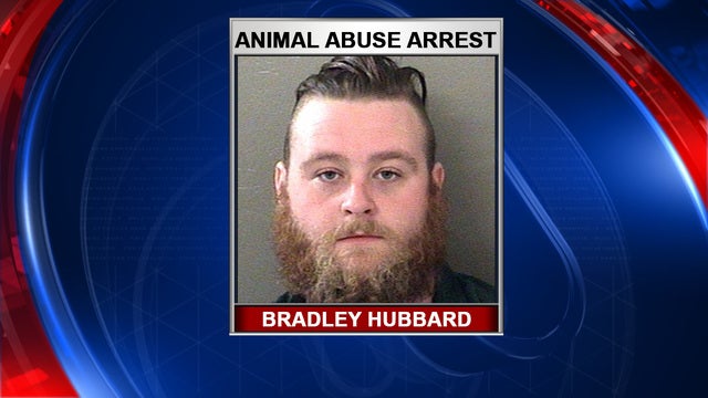 Florida man arrested for sex with pit bull