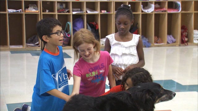 Hometown Heroes: Canines Helping Kids in Crisis