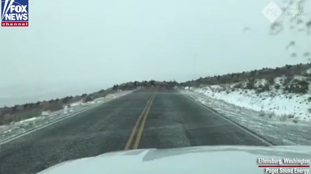 Video shows hundreds of elk seen streaming across road