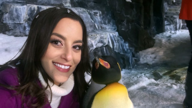 One Tank Trip: Sea World's Empire of the Penguin