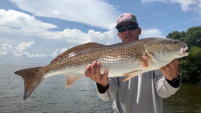 Good Catch: Redfish schooling inshore while amberjack picks up offshore