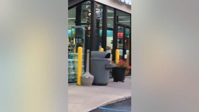Impatient pup repeatedly honks car horn until owner returns from store
