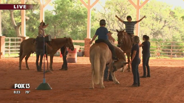 Changing lives at Inspire Equine Therapy Program in Pinellas County