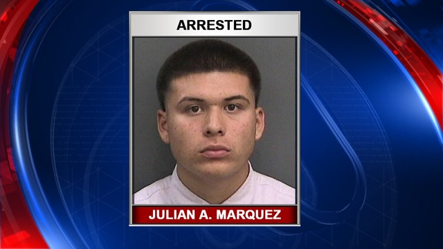 Police charge man for throwing rock at flamingo