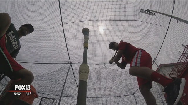 Leto High School Falcons soar into state semifinal