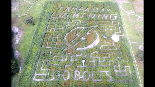 Massive Tampa Bay Lightning-themed corn maze