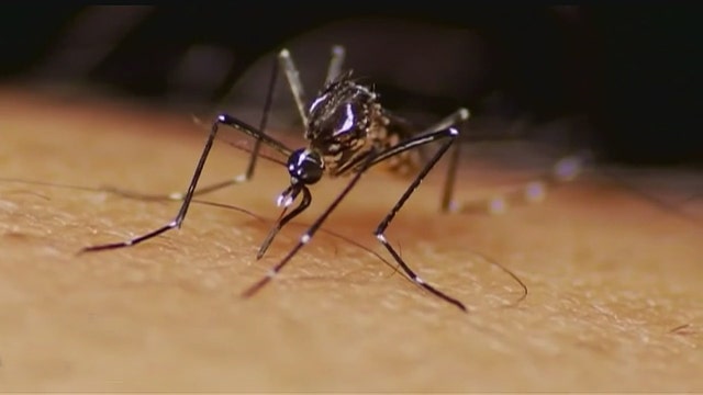 ConsumerReports releases bug repellant ratings