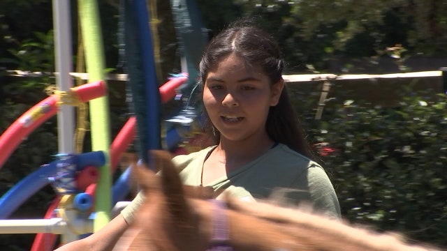 Master trainers transform wild Mustangs into performance horses