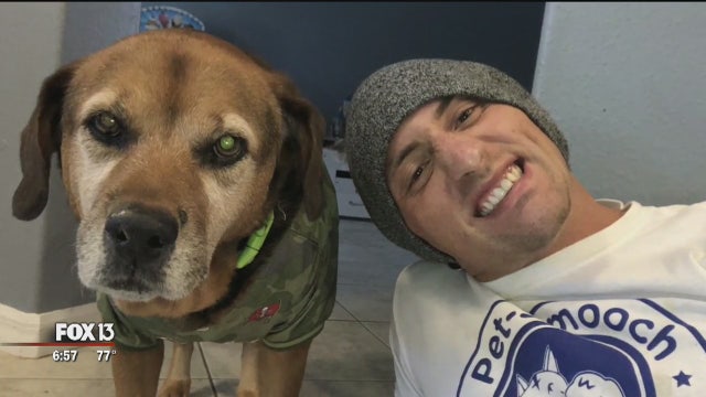 Man honors man's best friend by feeding hungry dogs