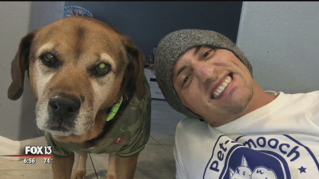 Death of longtime furry friend prompts Safety Harbor man to help other animals