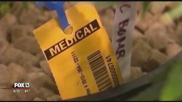 Florida's Amendment Two explained