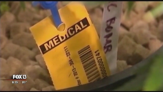 Voters again face medical marijuana decision