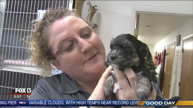 Hometown Heroes: Critter Adoption & Rescue Effort