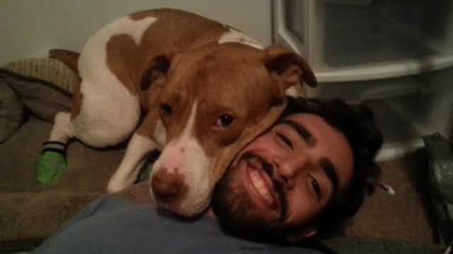 UF student with Crohn's disease searching for service dog