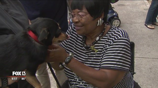 Mobile service brings veterinary car to senior pet owners