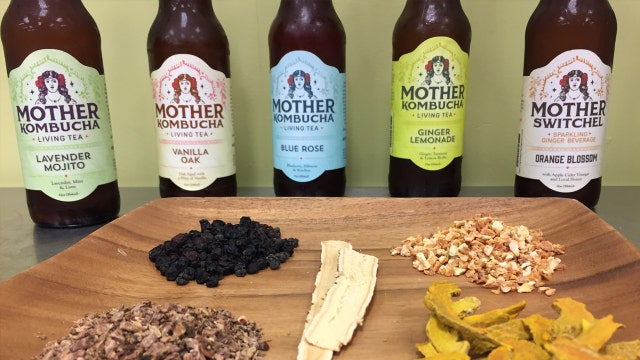 A morning at the Mother Kombucha brewery