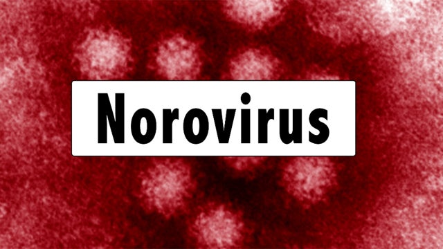 Norovirus sickens hundreds at Lowry Elementary