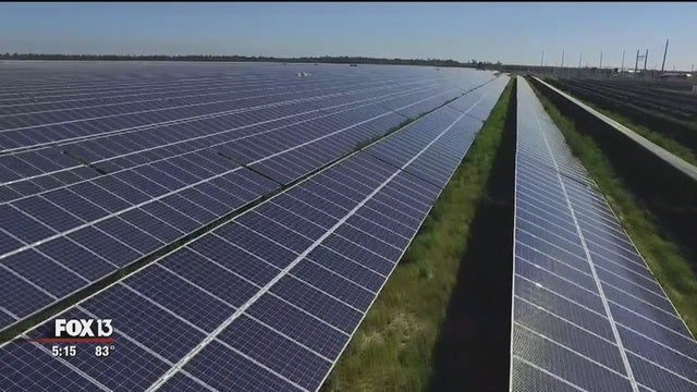 FPL says it plans more solar in coming years