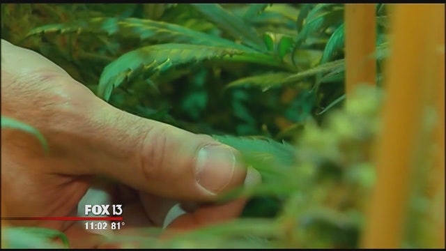 First home delivery of medical marijuana made in Florida