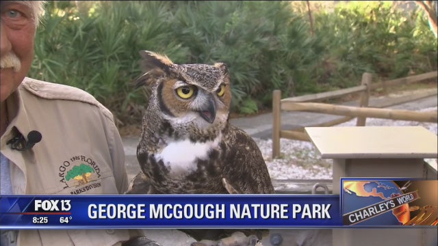 A morning at Narrows Nature Center at George C. McGough Park