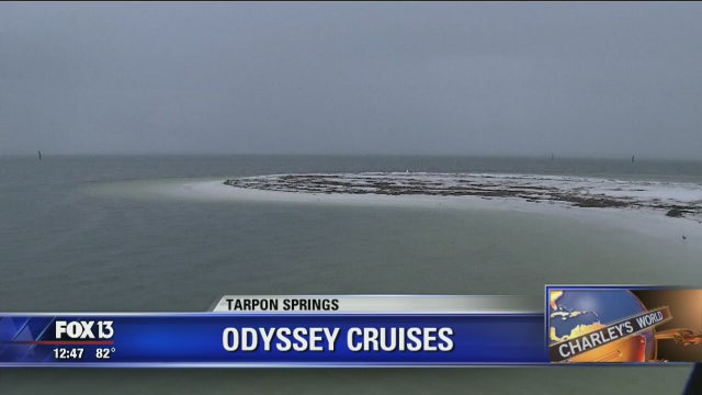 Odyssey Cruises offers sightseeing options for locals, tourists