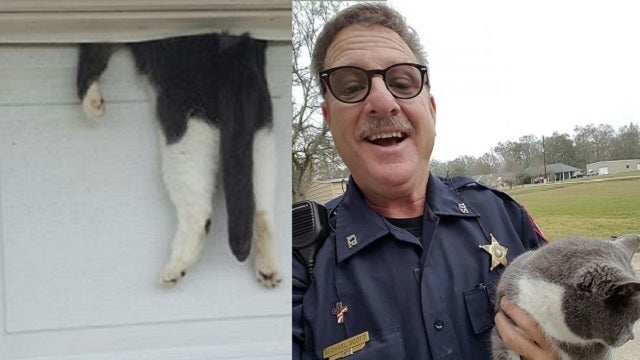PHOTO: Deputy saves cat trapped in garage door