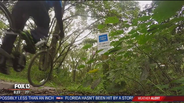 One Tank Trip: Alafia River State Park