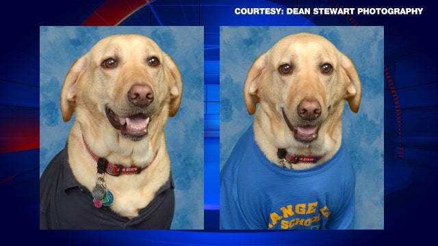Service dog gets time to shine in school yearbook