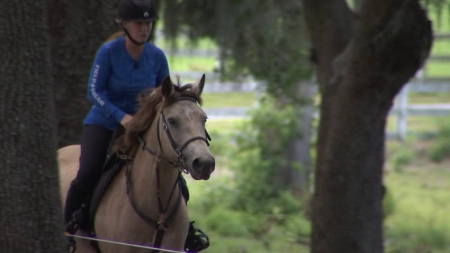 Wild ponies await Dade City woman at the Mongol Derby