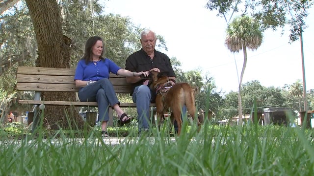 War zone K9s need special care after service ends