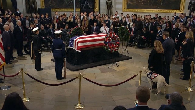 Sully, former President George H.W. Bush's service dog, to provide therapy for military patients