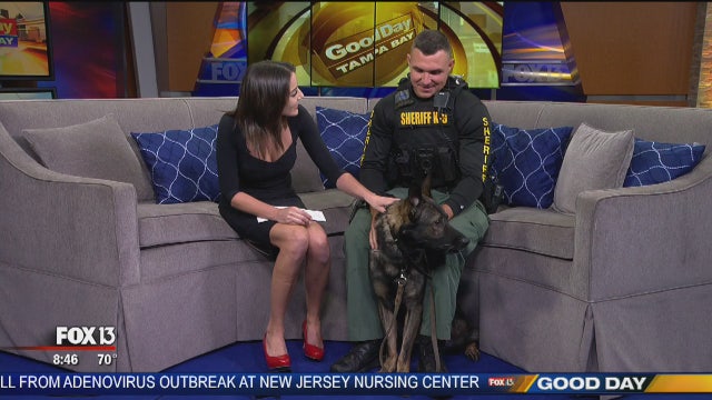 Pasco Dep. Carmack talks Live PD with K9 Shep