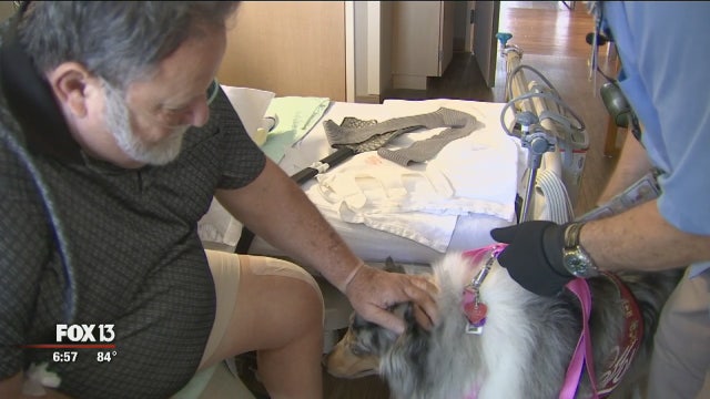 Pet Therapy program is What's Right with Tampa Bay