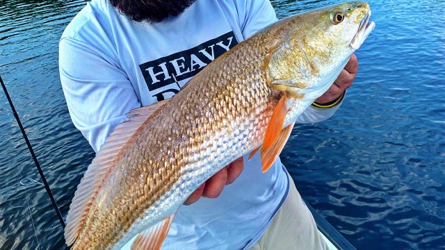 Good Catch: Full moon is a good time to go fishing