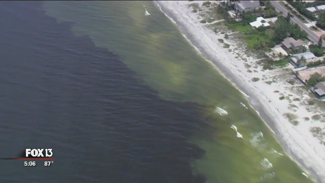 FWC unveils red tide map as algae lingers along both coasts