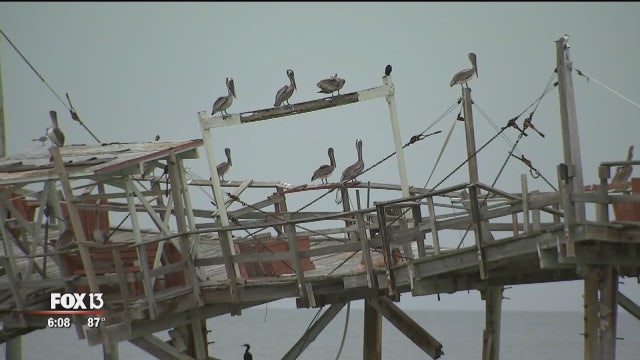 Redington Long Pier coming down, one way or another