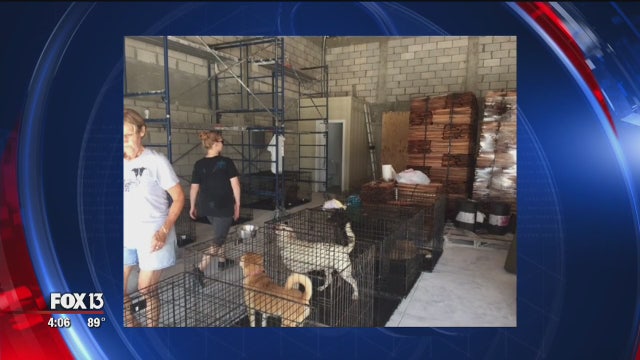 Suncoast Animal League deploys team to Bahamas