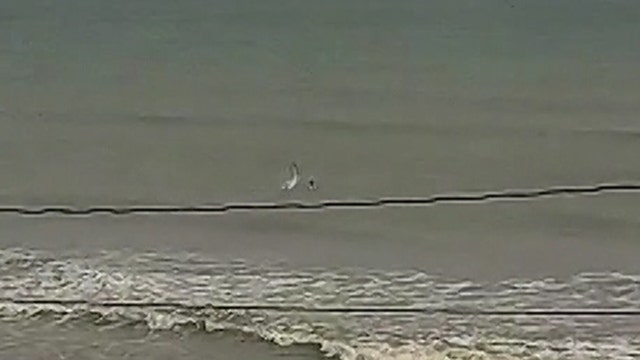 Leaping shark knocks Florida surfer off surfboard