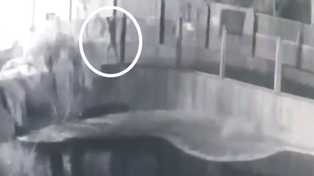 Florida man jumps into crocodile pit at alligator farm