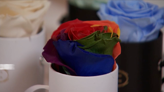 Would you buy roses that won't die for a year?