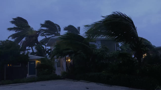Dog lost during Hurricane Matthew woos police, gets adopted