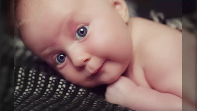 Pregnant women with dogs have healthier babies