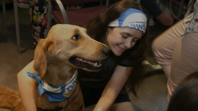 Mount Sinai employs full-time therapy dog for children