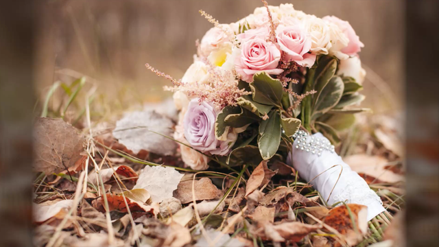 The most outrageous bridezilla stuns bridesmaid