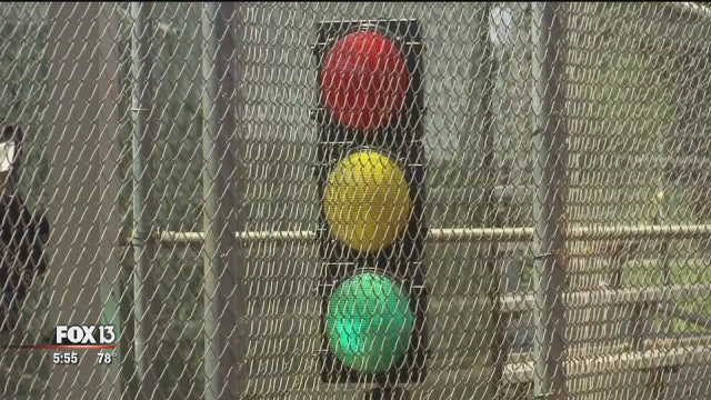 Lakewood Ranch goes green in hopes of winning it all this season