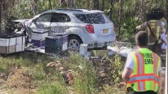 Rescuers battle bees after SUV crashes into hives