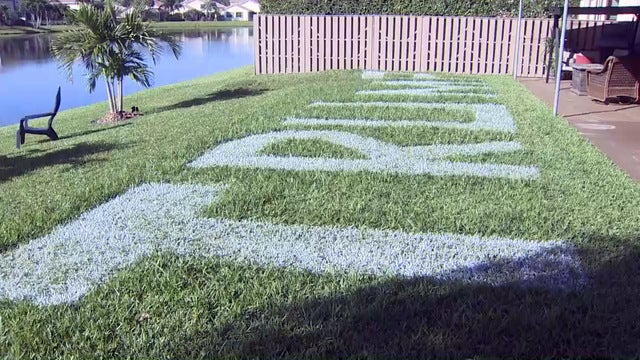 Florida couple makes their lawn great again